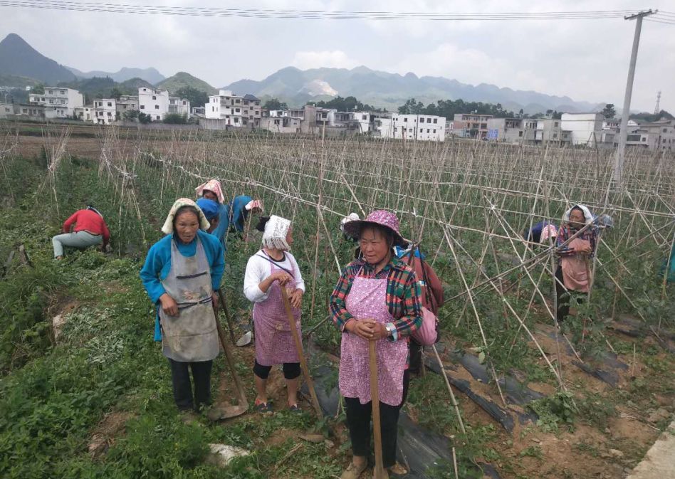微信图片_20190903112036.jpg