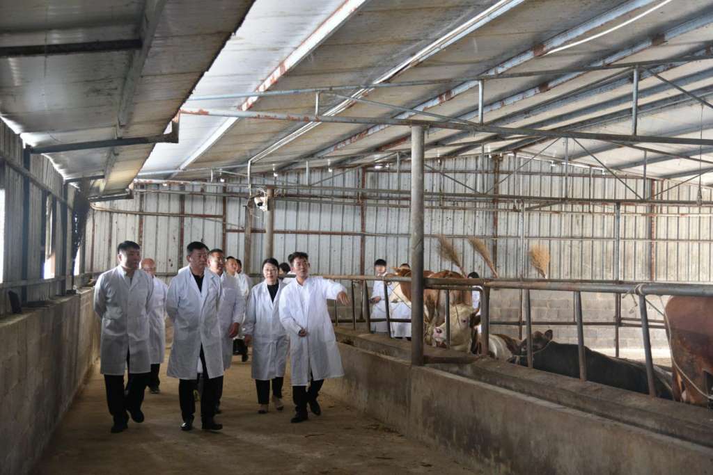 全国工商联第三联系调研组第二小组到安顺开展调查研究工作1